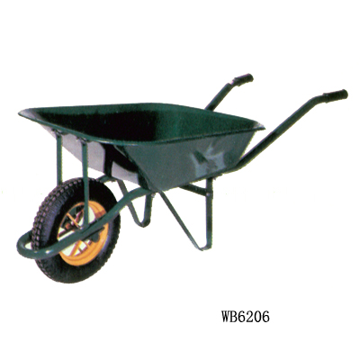 WB6206