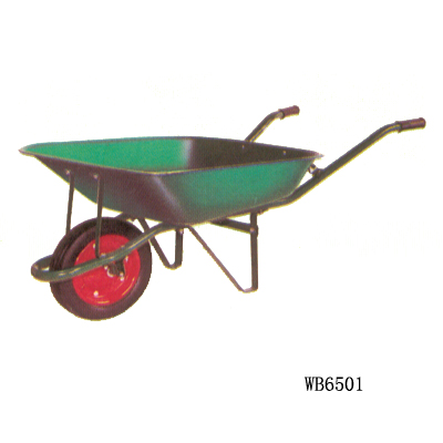 WB6501