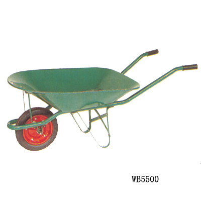WB5500