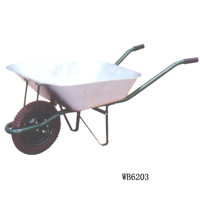 WB6203
