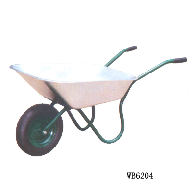 WB6204
