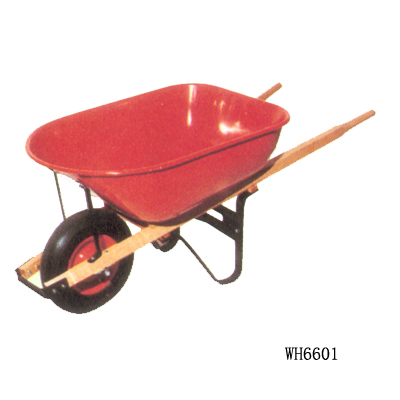 WH6601