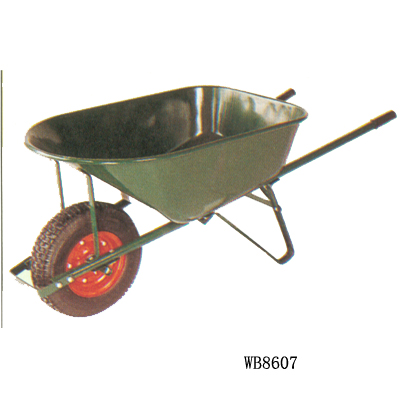 WB8607