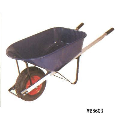 WB8603