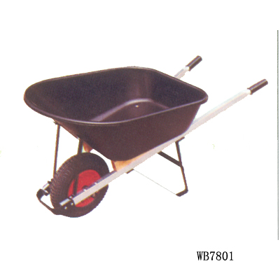 WB7801