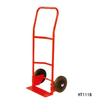 HT1116