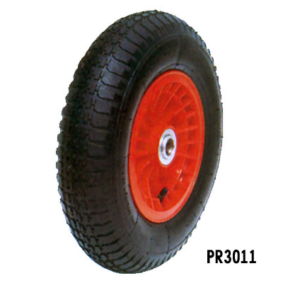 PR3011