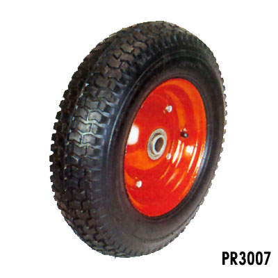 PR3007