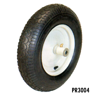 PR3004