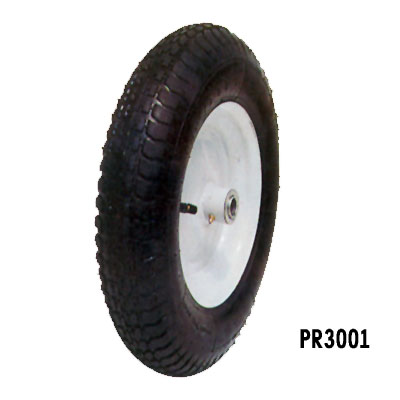 PR3001