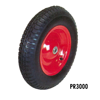 PR300