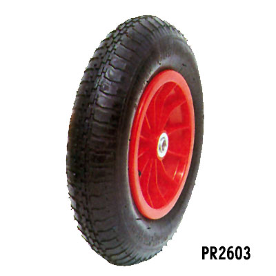PR2603