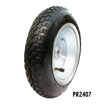 PR2407